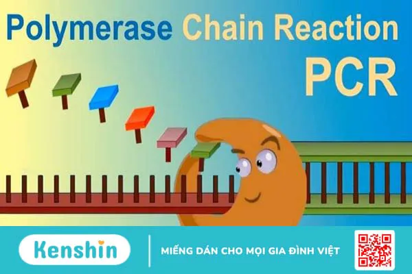 Test PCR Covid là gì? Bao lâu có kết quả? Test như thế nào?