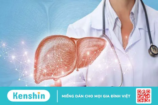 Thành phần dinh dưỡng và lợi ích sức khỏe của dâu tằm