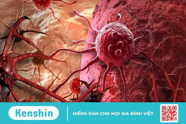 Thành phần dinh dưỡng và lợi ích sức khỏe của dâu tằm