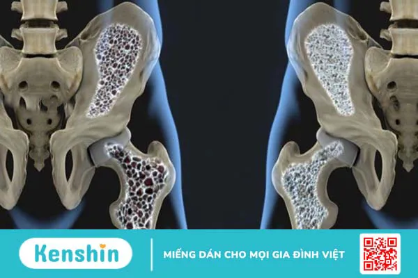 Thành phần dinh dưỡng và lợi ích sức khỏe của dâu tằm