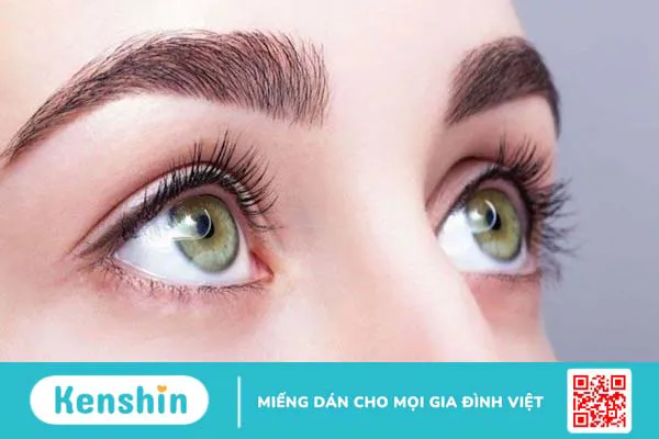 Thành phần dinh dưỡng và lợi ích sức khỏe của dâu tằm