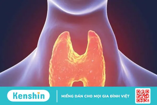 Thiếu Iodine (I ốt) nguyên nhân, triệu chứng và biện pháp phòng chống