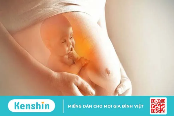 Thiếu Iodine (I ốt) nguyên nhân, triệu chứng và biện pháp phòng chống