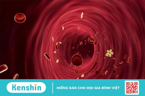 Thiếu phospho: Nguyên nhân, triệu chứng, cách điều trị