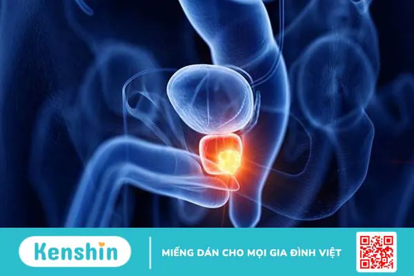 Thủ dâm là gì? 20 lợi ích và tác hại, hướng dẫn thủ dâm đúng cách