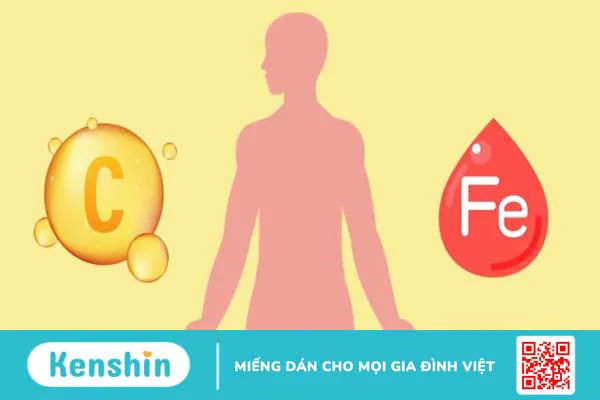 Thừa vitamin C gây bệnh gì? 6 dấu hiệu nhận biết khi thừa vitamin C