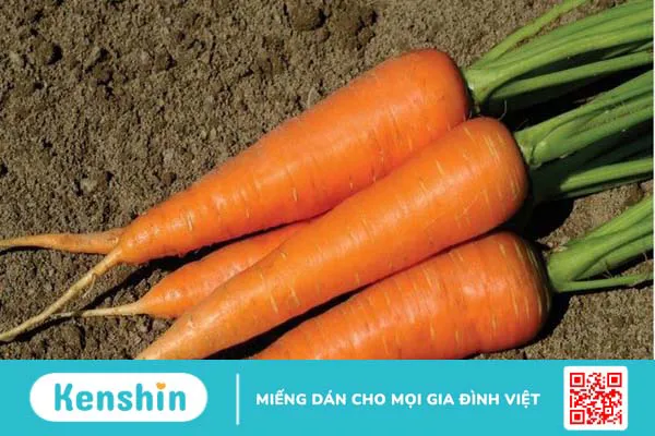 Thực phẩm chứa nhiều carotenoid