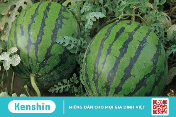 Thực phẩm chứa nhiều carotenoid