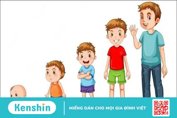 Thực phẩm chức năng có hại thận không? Cách sử dụng an toàn