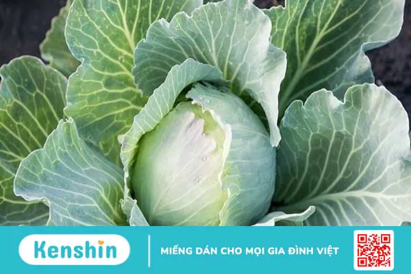 Thực phẩm có nhiều flavonoid