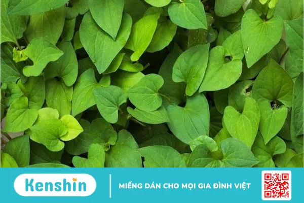 Thực phẩm có nhiều flavonoid