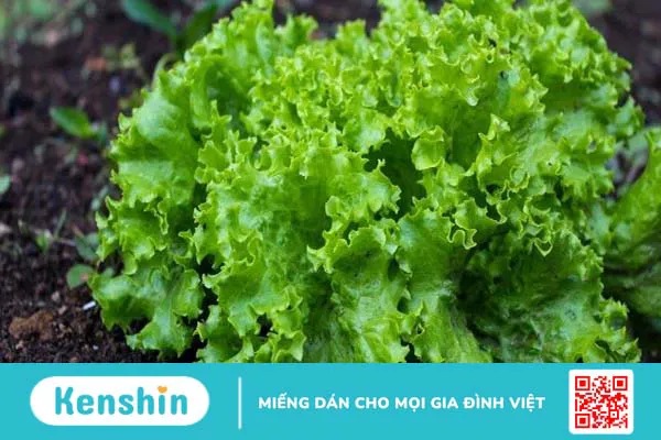 Thực phẩm có nhiều flavonoid