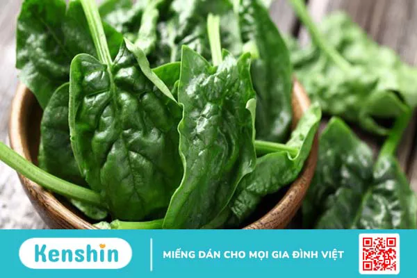 Thực phẩm giàu protein từ rau xanh