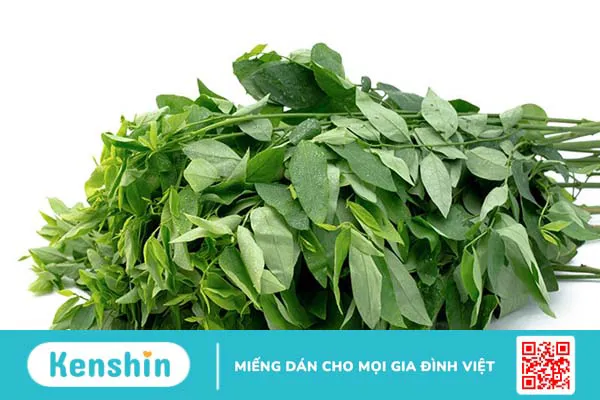 Thực phẩm giàu protein từ rau xanh