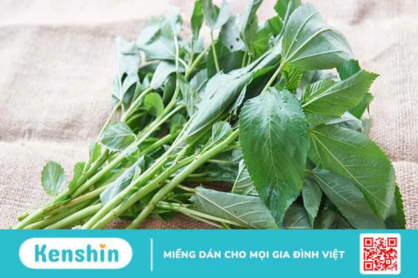 Thực phẩm giàu protein từ rau xanh