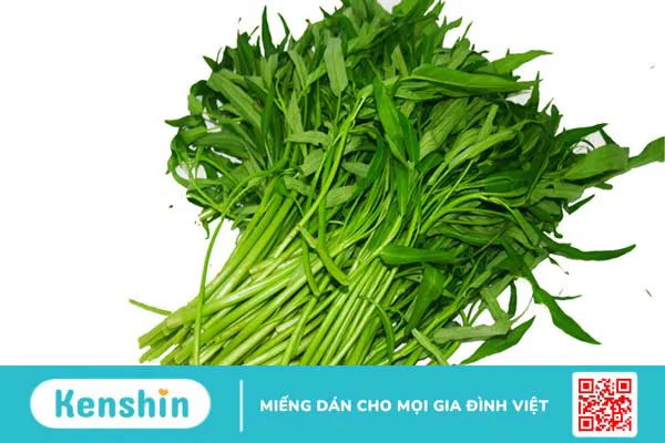 Thực phẩm giàu protein từ rau xanh