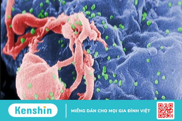 Thuốc ARV có mấy loại? 10 loại thuốc ARV điều trị HIV hiện nay