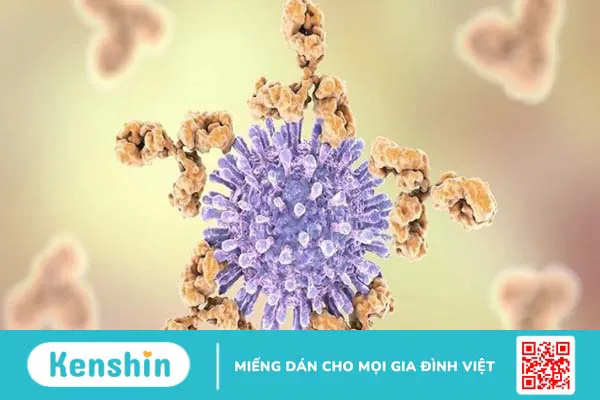 Thuốc ARV có mấy loại? 10 loại thuốc ARV điều trị HIV hiện nay