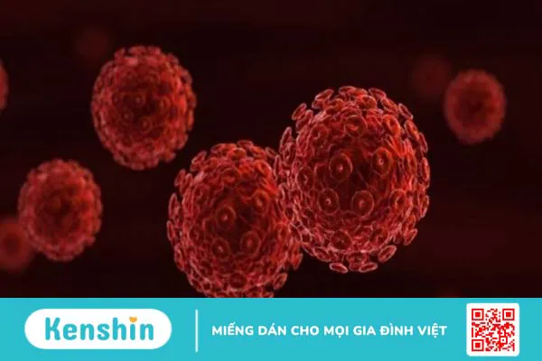 Thuốc ARV có mấy loại? 10 loại thuốc ARV điều trị HIV hiện nay