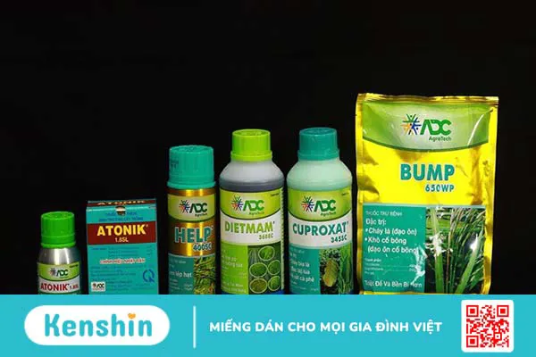 Thương hiệu ADC của nước nào? Có tốt không? Các dòng sản phẩm nổi bật