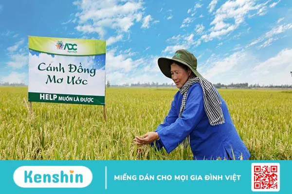 Thương hiệu ADC của nước nào? Có tốt không? Các dòng sản phẩm nổi bật