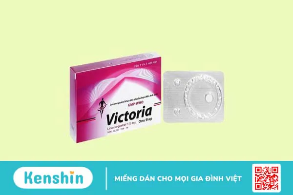 Thương hiệu Ba Đình của nước nào? Các dòng sản phẩm nổi bật