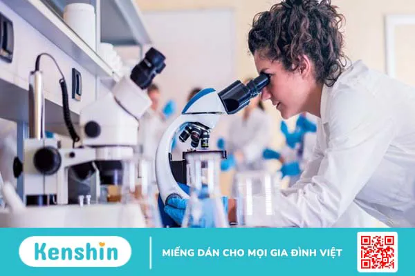 Thương hiệu Bluepharma của nước nào? Có tốt không? Các dòng sản phẩm nổi bật