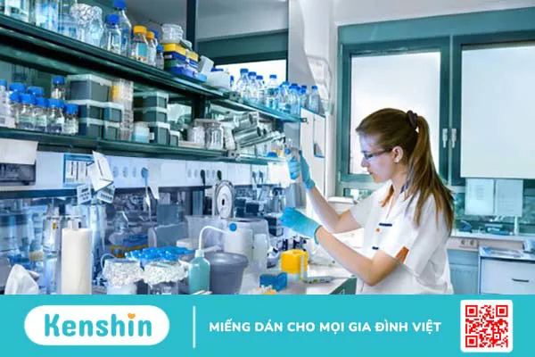 Thương hiệu BOSTON PHARMA của nước nào? Có tốt không? Các dòng sản phẩm nổi bật