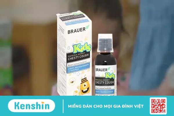 Thương hiệu Brauer của nước nào? Có tốt không?