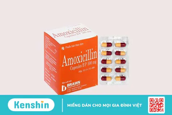 Thương hiệu Brawn Laboratories của nước nào? Các sản phẩm nổi bật