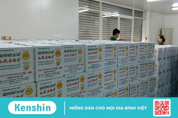 Thương hiệu Công ty TNHH Đông Nam Dược Bảo Linh có tốt không? Các dòng sản phẩm nổi bật