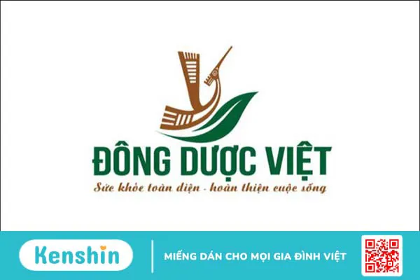 Thương hiệu Đông Dược Việt có tốt không? Các dòng sản phẩm nổi bật