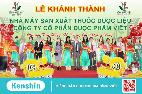 Thương hiệu Đông Dược Việt có tốt không? Các dòng sản phẩm nổi bật