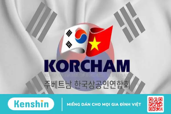 Thương hiệu Korea Arlico của nước nào? Có tốt không? Các dòng sản phẩm nổi bật