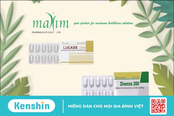 Thương hiệu Maxim của nước nào? Có tốt không? Các dòng sản phẩm nổi bật