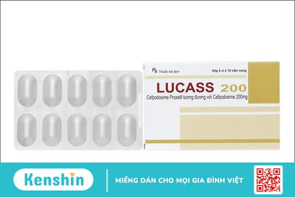 Thương hiệu Maxim của nước nào? Có tốt không? Các dòng sản phẩm nổi bật