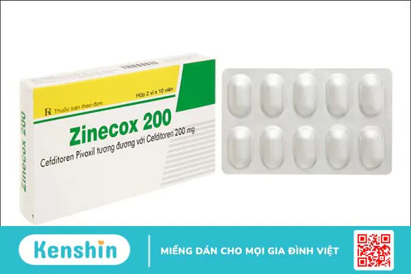 Thương hiệu Maxim của nước nào? Có tốt không? Các dòng sản phẩm nổi bật