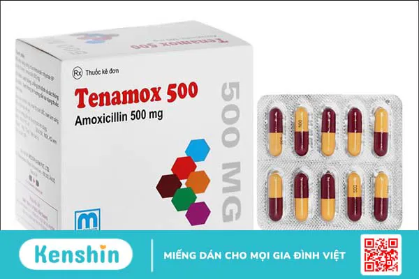 Thương hiệu Medopharm của nước nào? Có tốt không? Các dòng sản phẩm nổi bật