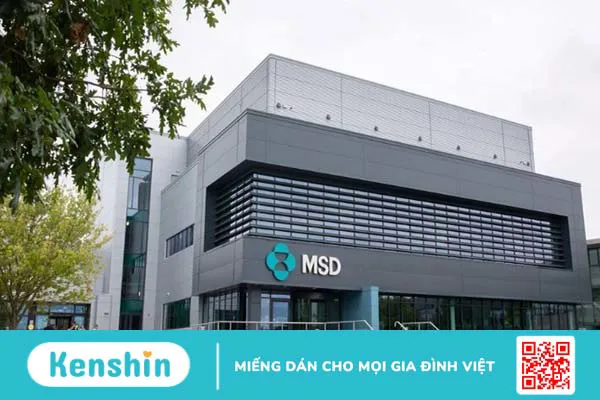 Thương hiệu MSD của nước nào? Có tốt không? Các dòng sản phẩm nổi bật