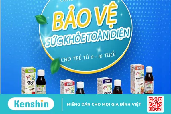 Thương hiệu Nam Việt của nước nào? Có tốt không? Các dòng sản phẩm nổi bật