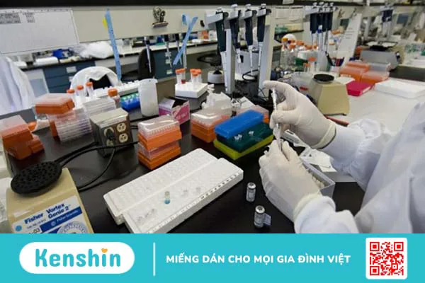 Thương hiệu Pharmascience của nước nào? Có tốt không? Các sản phẩm nổi bật