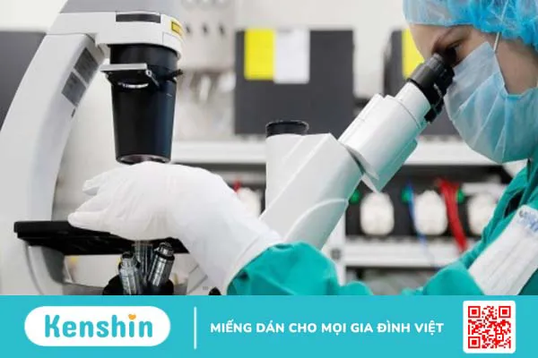 Thương hiệu Pharmathen của nước nào? Có tốt không? Các dòng sản phẩm nổi bật