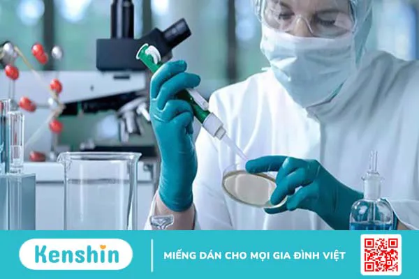 Thương hiệu Pharvis Korea của nước nào? Các dòng sản phẩm nổi bật