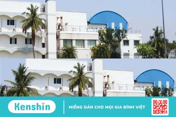 Thương hiệu The Madras của nước nào? Có tốt không? Các dòng sản phẩm nổi bật