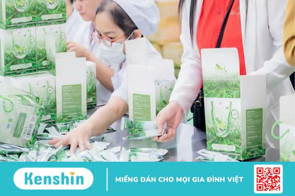 Thương hiệu Thiên Nhiên Việt Group của nước nào? Có tốt không? Các dòng sản phẩm nổi bật