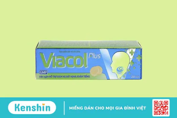 Thương hiệu Thiên Nhiên Việt Group của nước nào? Có tốt không? Các dòng sản phẩm nổi bật