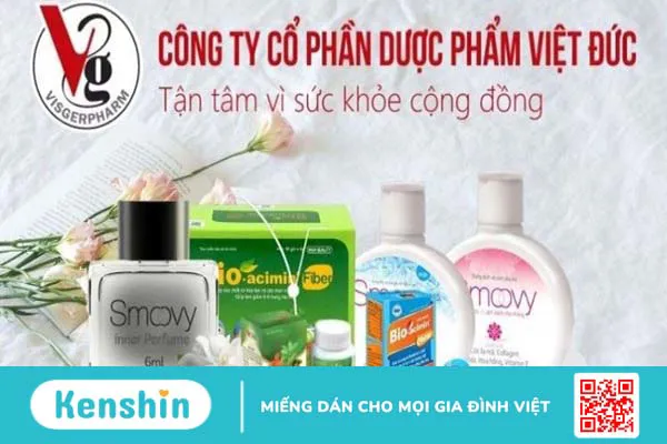 Thương hiệu Việt Đức có tốt không? Các dòng sản phẩm nổi bật