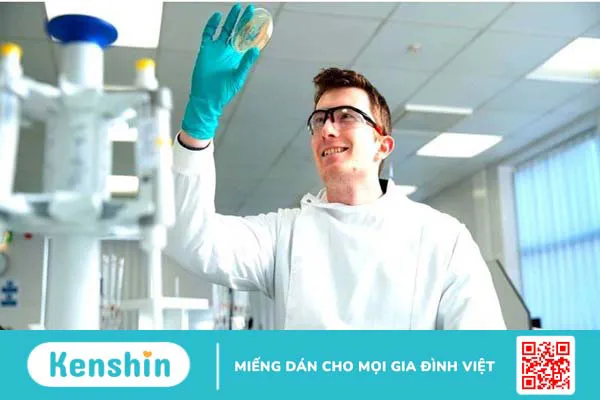 Thương hiệu West-Ward Pharmaceuticals của nước nào? Có tốt không?