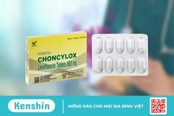 Thương hiệu Windlas Biotech của nước nào? Có tốt không?