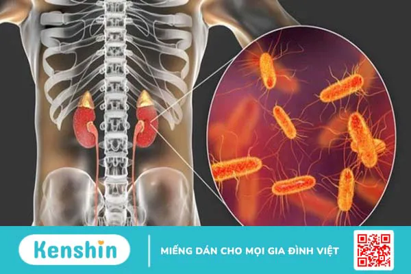 Tiêm phòng bạch hầu cho trẻ và các lưu ý bố mẹ nên biết